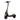 ZT3 Pro Segway Electric KickScooter